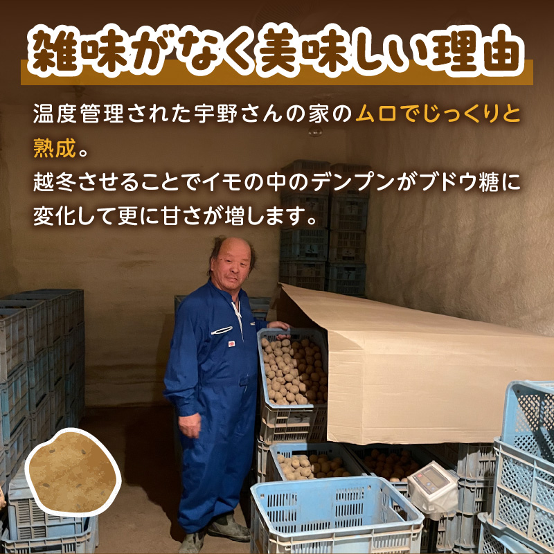 【予約：2026年2月上旬から順次発送】【選べる3サイズ】宇野さんの手拾い、手選別の越冬ジャガイモ 2kg ( 芋 野菜 選べる )【167-0002-2026】