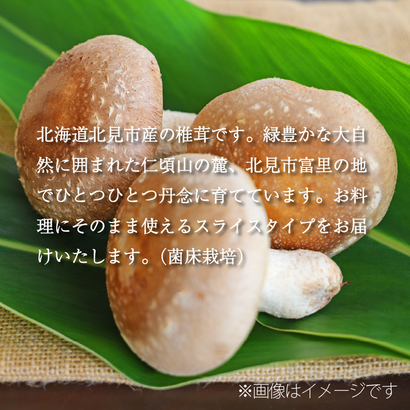也ããããã¹ã©ã€ã¹ ( ãããã æ€èž ã·ã€ã¿ã± ãã®ã ããã³ ä¹Ÿç¥ ã¹ã©ã€ã¹ )ã038-0010ã