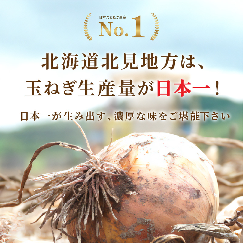 《7営業日以内に発送》たっぷり90食分！業務用北海道オニオンスープ 450g×1袋 ( 玉ねぎ スープ 加工品 粉末 簡単 )【125-0090】