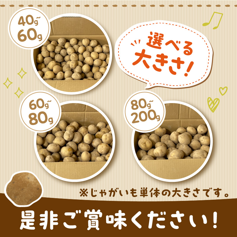 【予約：2026年2月上旬から順次発送】【選べる3サイズ】宇野さんの手拾い、手選別の越冬ジャガイモ 1kg ( 芋 野菜 選べる )【167-0001-2026】