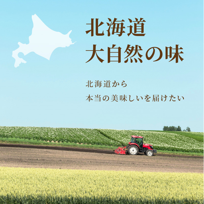 《7営業日以内に発送》大地の恵み北海道オニオンスープ 12袋×2箱 ( スープ オニオンスープ 玉葱 タマネギ たまねぎ 即席 ふるさと納税 )【125-0085】