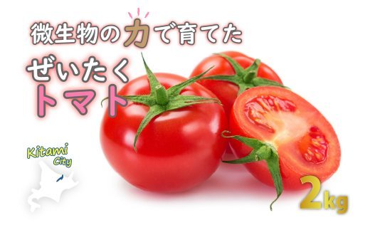 【A-317】【2021年7月から発送】北海道北見市産トマト2kg