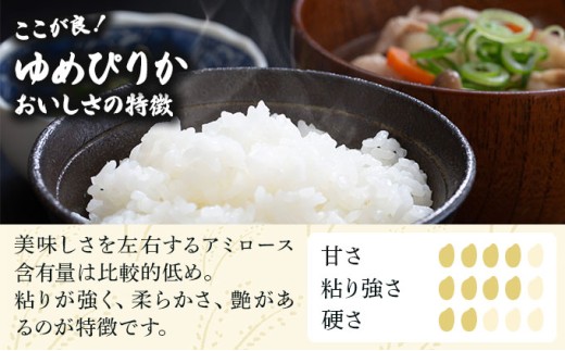 令和7年産 ＜定期便6回＞ 山下商店 ゆめぴりか 10kg | 北海道岩見沢産 ゆめぴりか 米 白米 お米 岩見沢市【a164-017】
