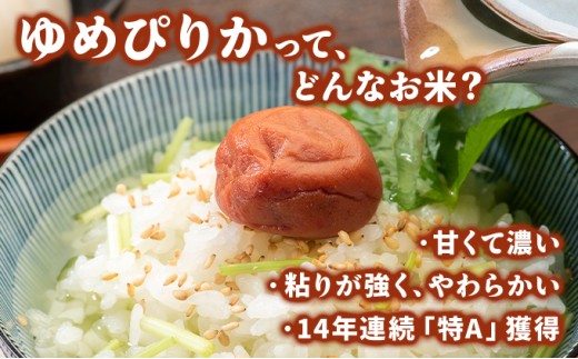 莉、蜥7蟷エ逕」シ∝イゥ隕区イ「逕」 辟。霎イ阮ャ邀ウ 蟲ッ縺輔s縺ョ縲後f繧√エ繧翫°縲5kg縲紳121-023縲