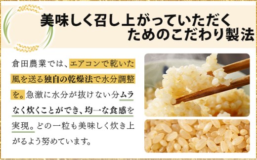 令和7年産 北海道岩見沢市産 あやひめ精米 10kg  ≪沖縄・離島配送不可≫