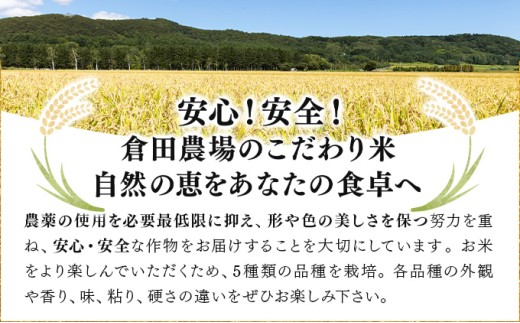 令和7年産 北海道岩見沢市産 あやひめ精米 5kg  ≪沖縄・離島配送不可≫