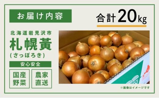 【先行予約】幻の玉ねぎ！札幌黄（さっぽろき）20kg たまねぎ 玉葱 タマネギ 国産 まとめ買い 業務用 贈り物 野菜 美味しい 送料無料 新鮮野菜 健康 和食 レストラン 国産野菜 採れたて 農家直送 産地直送 北海道 岩見沢市