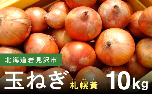 【先行予約】幻の玉ねぎ！札幌黄（さっぽろき）10kg たまねぎ 玉葱 タマネギ 国産 まとめ買い 業務用 贈り物 野菜 美味しい 送料無料 新鮮野菜 健康 和食 レストラン 国産野菜 採れたて 農家直送 産地直送 北海道 岩見沢市