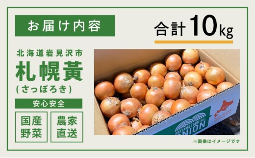 【先行予約】幻の玉ねぎ！札幌黄（さっぽろき）10kg たまねぎ 玉葱 タマネギ 国産 まとめ買い 業務用 贈り物 野菜 美味しい 送料無料 新鮮野菜 健康 和食 レストラン 国産野菜 採れたて 農家直送 産地直送 北海道 岩見沢市