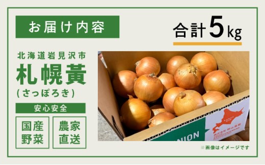 【先行予約】幻の玉ねぎ！札幌黄（さっぽろき）5kg たまねぎ 玉葱 タマネギ 国産 まとめ買い 業務用 贈り物 野菜 美味しい 送料無料 新鮮野菜 健康 和食 レストラン 国産野菜 採れたて 農家直送 産地直送 北海道 岩見沢市