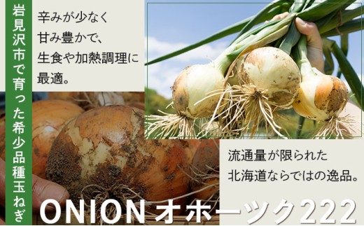 【先行予約】畑から直送の新鮮野菜！玉ねぎ（オホーツク222）20kg たまねぎ 玉葱 タマネギ国産 産地直送 まとめ買い 業務用 贈り物 甘い 野菜 シャキシャキ 美味しい 北海道 送料無料
