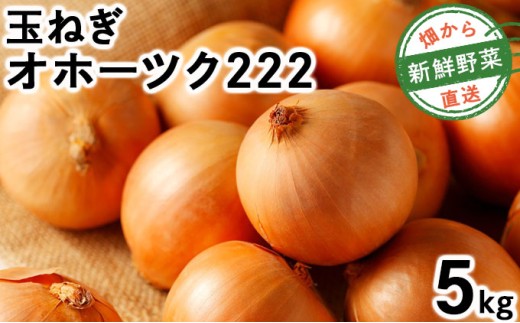 【先行予約】畑から直送の新鮮野菜！玉ねぎ（オホーツク222）5kg
