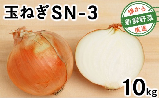 【先行予約】畑から直送の新鮮野菜！玉ねぎ（SN-3）10kg