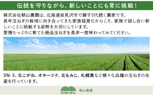 【先行予約】畑から直送の新鮮野菜！玉ねぎ（SN-3）10kg