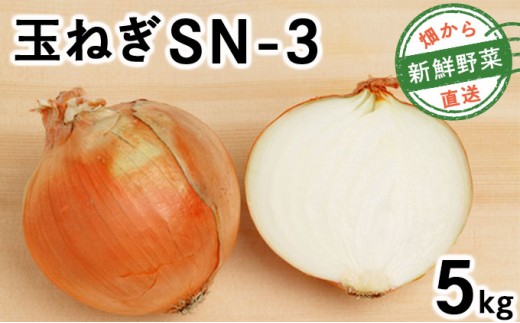 【先行予約】畑から直送の新鮮野菜！玉ねぎ（SN-3）5kg