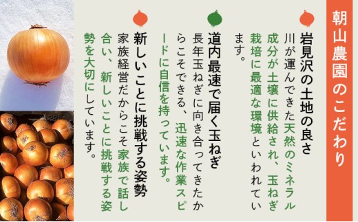 【先行予約】畑から直送の新鮮野菜！玉ねぎ（SN-3）5kg