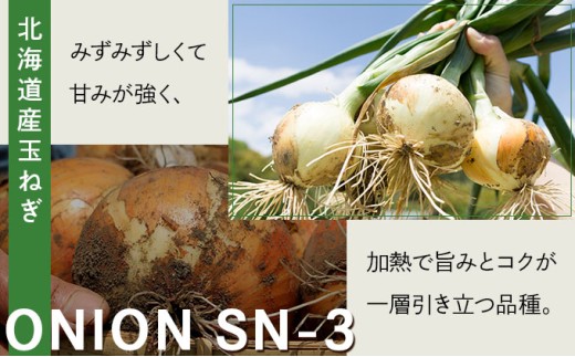 【先行予約】畑から直送の新鮮野菜！玉ねぎ（SN-3）5kg