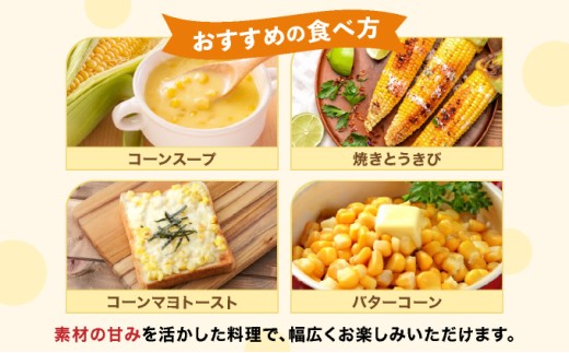 【先行予約】朝取りスイートコーン「恵味ゴールド」10本入り｜コーン とうもろこし 岩見沢市 野菜 北海道【a167-001】