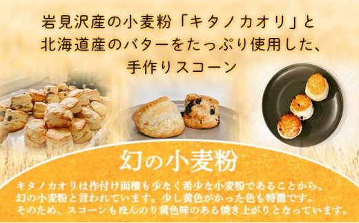 蟷サ縺ョ蟆城コヲ邊峨く繧ソ繝弱き繧ェ繝ェシ亥イゥ隕区イ「逕」シ峨r菴ソ逕ィ縺励◆繧ケ繧ウ繝シ繝ウ5遞ョテ怜推5蛟句・繧 a131-013