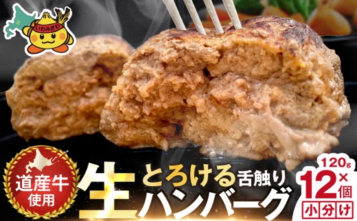 生ハンバーグ 1.8kg (120g×12個)