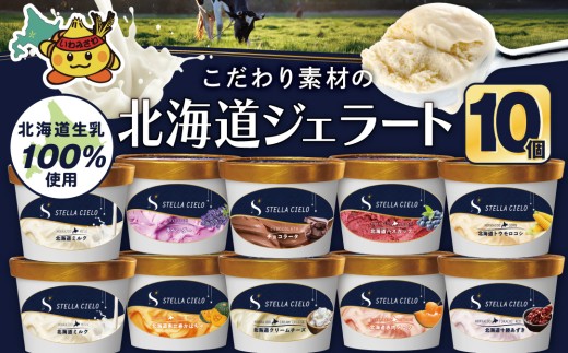 STELLA CIELO 北海道ジェラート10個 | 北海道ミルク チョコラータ 北海道クリームチーズ 北海道産十勝あずき 北海道恵比寿かぼちゃ 北海道赤肉メロン 北海道ハスカップ ラベンダー 北海道トウモロコシ