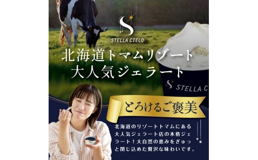 STELLA CIELO 北海道ジェラート10個 | 北海道ミルク チョコラータ 北海道クリームチーズ 北海道産十勝あずき 北海道恵比寿かぼちゃ 北海道赤肉メロン 北海道ハスカップ ラベンダー 北海道トウモロコシ