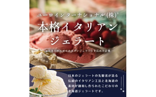 STELLA CIELO 北海道ジェラート12個 | 北海道ミルク チョコラータ 北海道クリームチーズ 北海道十勝あずき 北海道恵比寿かぼちゃ 北海道赤肉メロン 北海道ハスカップ ラベンダー 北海道トウモロコシ