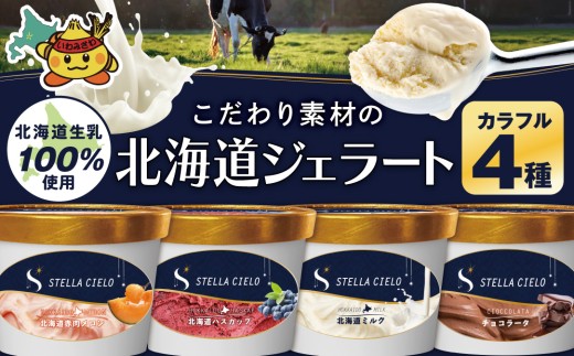 STELLA CIELO 北海道ジェラート4個 カラフル | 北海道ミルク チョコラータ 北海道赤肉メロン 北海道ハスカップ