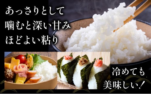 莉、蜥7蟷エ逕」 縺ェ縺ェ縺、縺シ縺 10kg (5kgテ2陲) 邊セ邀ウ | 蛹玲オキ驕灘イゥ隕区イ「逕」 縺ェ縺ェ縺、縺シ縺 邊セ邀ウ 10kg 逋ス邀ウ 邀ウ 縺顔アウ 縺秘」ッ 縺斐ッ繧 蛹玲オキ驕 蟯ゥ隕区イ「蟶