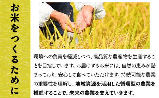 令和7年産 上志文産メープル米「ななつぼし」10kg