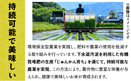 令和7年産 上志文産メープル米「ななつぼし」10kg