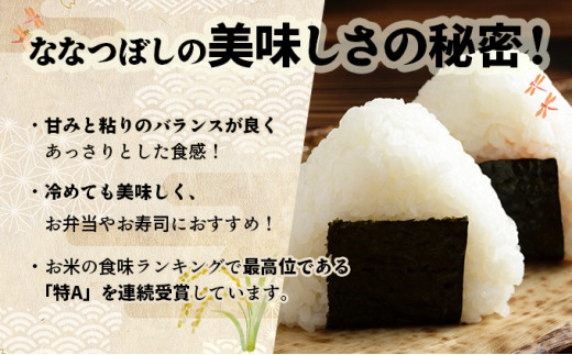 令和7年産 上志文産メープル米「ななつぼし」10kg