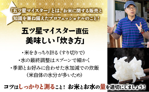 令和7年産 上志文産メープル米「ななつぼし」10kg
