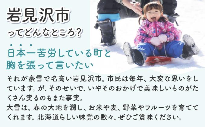 【返礼品なし】岩見沢市 寄附のみ応援 10,000円【応援寄附】