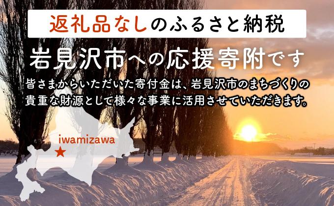 【返礼品なし】岩見沢市 寄附のみ応援 10,000円【応援寄附】