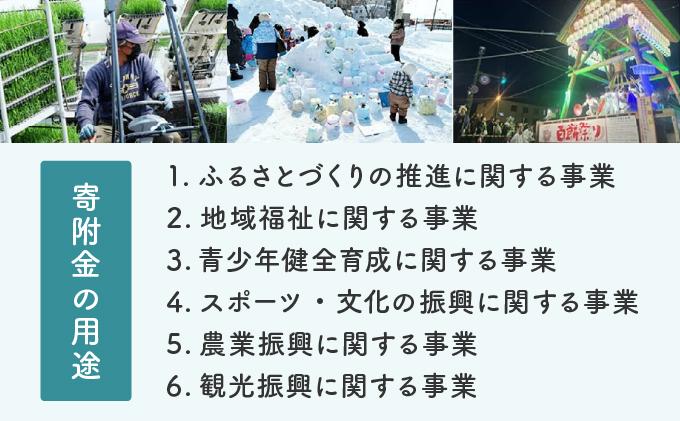 【返礼品なし】岩見沢市 寄附のみ応援 10,000円【応援寄附】