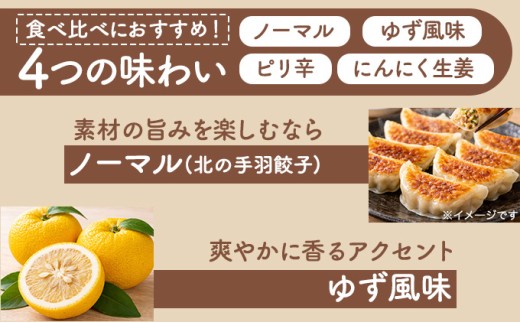 北海道産鶏肉を使った手羽餃子【北の手羽ぎょうざ】30個セット(5個×6袋)≪配送地域限定≫【53103】
