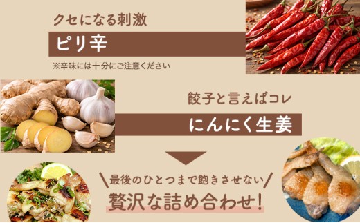 北海道産鶏肉を使った手羽餃子【北の手羽ぎょうざ】30個セット(5個×6袋)≪配送地域限定≫【53103】