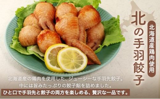 北海道産鶏肉を使った手羽餃子【北の手羽ぎょうざ】30個セット(5個×6袋)≪配送地域限定≫【53103】