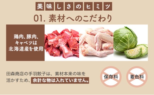 北海道産鶏肉を使った手羽餃子【北の手羽ぎょうざ】15個セット(5個×3袋)≪配送地域限定≫【53101】