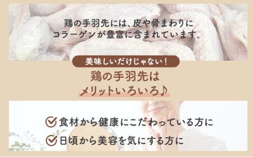 北海道産鶏肉を使った手羽餃子【北の手羽ぎょうざ】15個セット(5個×3袋)≪配送地域限定≫【53101】