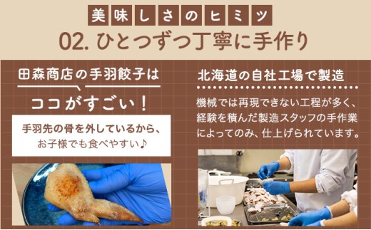 北海道産鶏肉を使った手羽餃子【北の手羽ぎょうざ】15個セット(5個×3袋)≪配送地域限定≫【53101】
