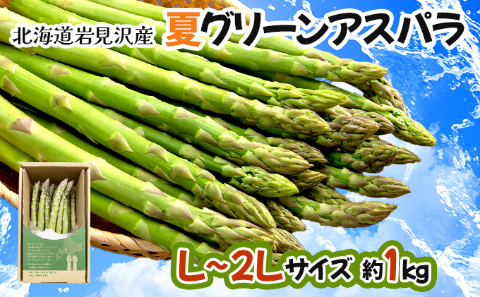 【令和8年産】北海道岩見沢産 夏グリーンアスパラ L～2Lサイズ 1kg【41104】