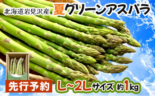 【先行予約／令和8年産】北海道岩見沢産 夏グリーンアスパラ L～2Lサイズ 1kg【41104】