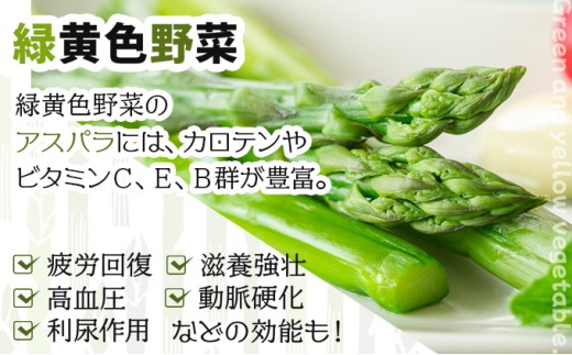 【令和8年産】北海道岩見沢産 夏グリーンアスパラ L～2Lサイズ 1kg【41104】
