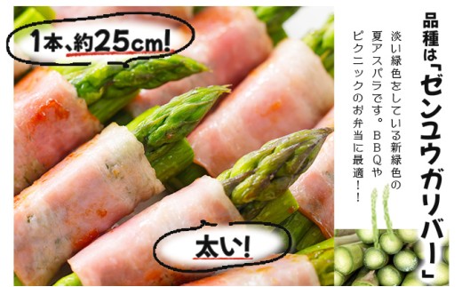 【令和8年産】北海道岩見沢産 夏グリーンアスパラ L～2Lサイズ 1kg【41104】