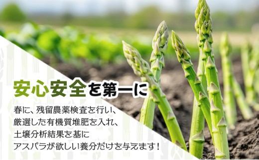 【令和8年産】北海道岩見沢産 夏グリーンアスパラ L～2Lサイズ 1kg【41104】