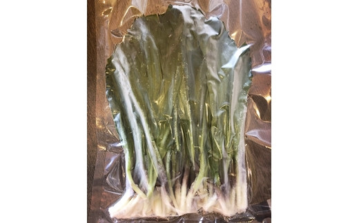 北海道岩見沢市産 令和8年度産 行者にんにく葉(冷凍) 1kg【09118】[a107-033]