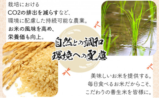 《令和7年産！》『100%自家生産玄米』善生さんの自慢の米 玄米ゆめぴりか５kg※一括発送【06124】