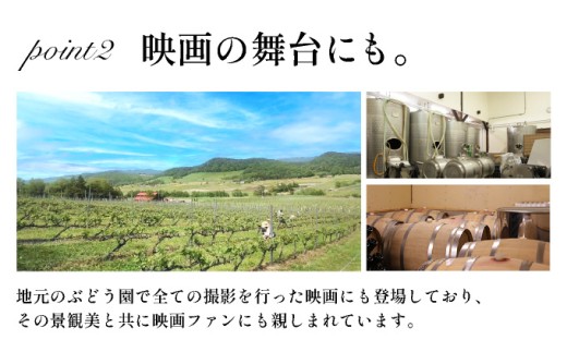 雪が育むこだわりの宝水ワイナリーワイン２本セット（ロゼ・白）【31102】